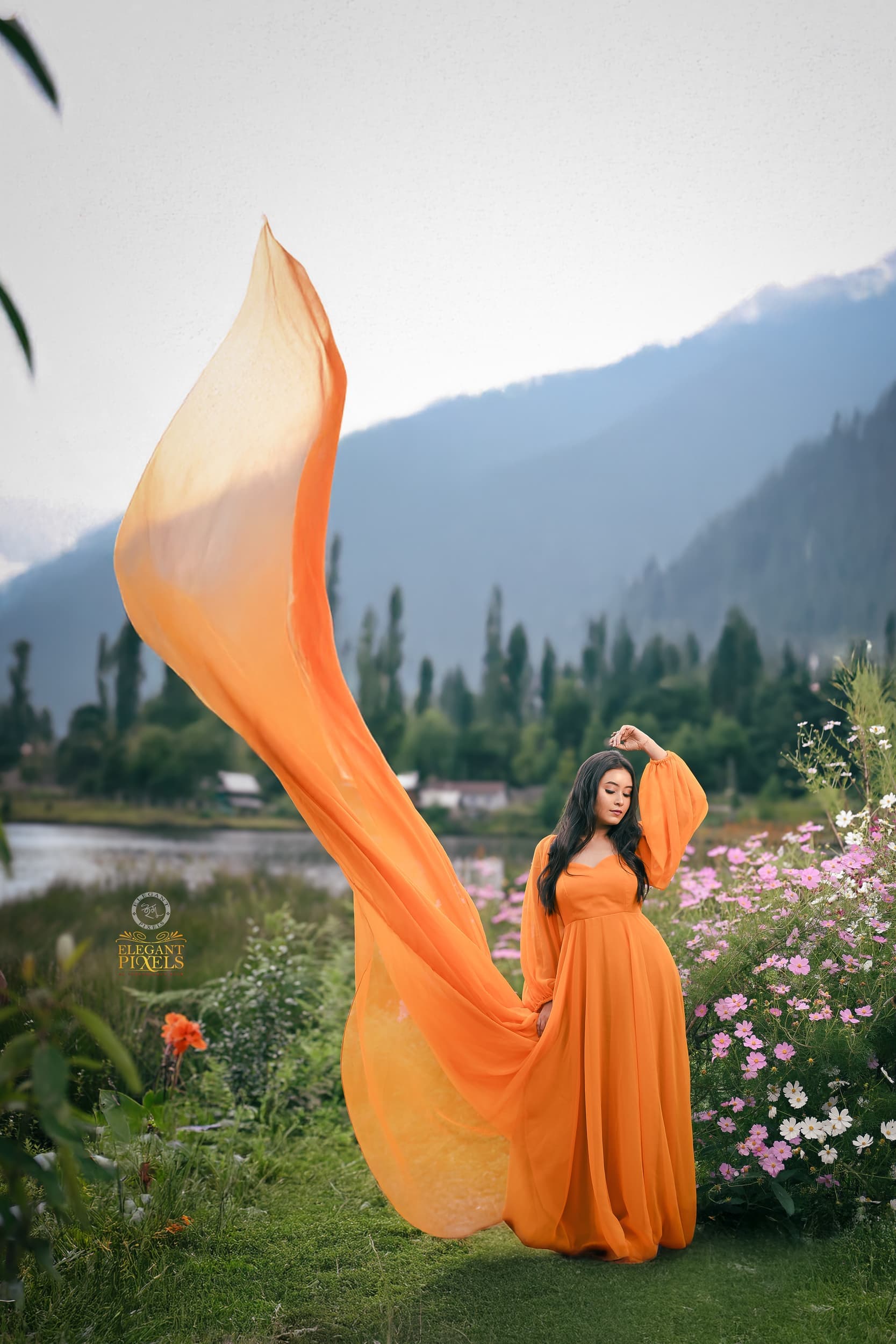 Elegant Story